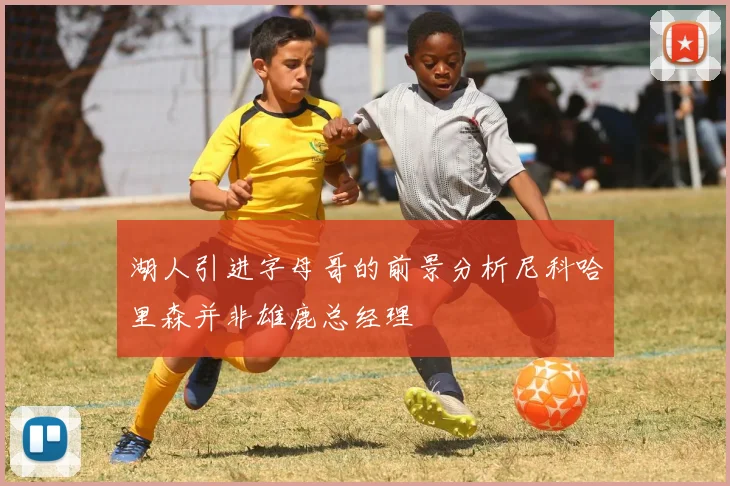 湖人引进字母哥的前景分析尼科哈里森并非雄鹿总经理