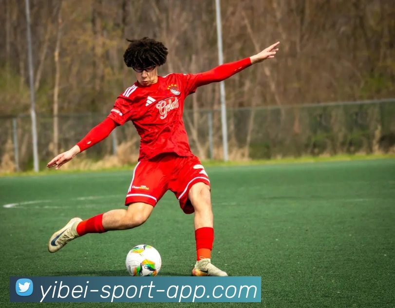 易倍体育全站App